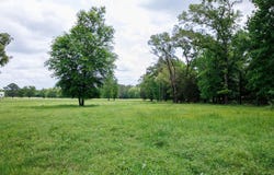 An CR 336, Palestine, TX 75803