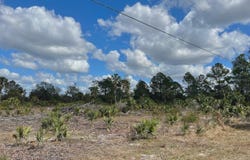 SHILOH ROAD, CEDAR KEY, FL 32625