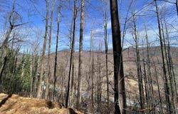 BEECH GROVE RD, ROSELAND, VA 22967