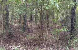 104 Cypress Rd, Satsuma, FL 32189