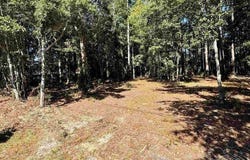 Owensville Rd, Milton, FL 32583