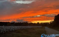 275 County Road 468, Centre, AL 35960