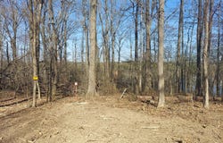 Elkhorn, SPRINGVILLE, TN 38256