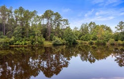 6178 Barnes Road, Crestview, FL 32536