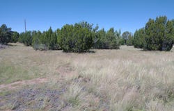 61 Spring Drive, Concho, AZ 85924