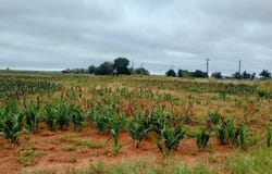 80 N Council Rd, Crescent, OK 73028