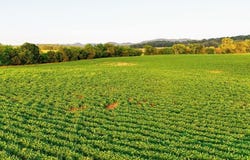 BATTLEFIELD RD, GROTTOES, VA 24441