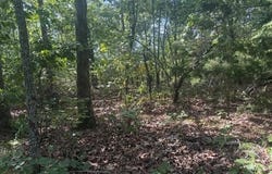 4031 CR 36, Clarkridge, AR 72623