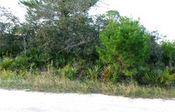 235 Brant Avenue, Sebring, FL 33870