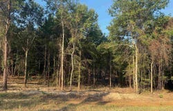 LAKESHORE DRIVE, Chatham, LA 71226