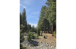 762 Blacktail Ridge, Portola, CA 96122