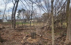 Eldridge Avenue E, Maplewood, MN 55109
