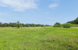 County Road 459, Thorndale, TX 76577