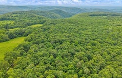 Tommys Ridge, ODD, WV 25902