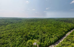 Cox Road, Brandon, NY 12966