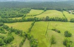 County Road 430, PARIS, MS 38949
