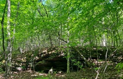 TOMMY MCGOUGH Rd, Carbon Hill, AL 35549