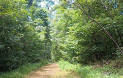 BATTERY HILL LN, TYRO, VA 22976