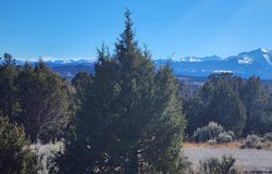 209 Crescent Lane, Glenwood Springs, CO 81601