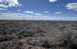 2334 Picacho Way, Williams, AZ 86046
