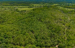 Private Road, Drury, MO 65638