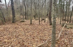 0 Wetipquin Rd, Quantico, MD 21856