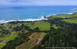 Alta Mesa Road, Manchester, CA 95459