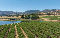 Aetna Springs Lane, Pope Valley, CA 94567