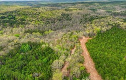 Tract3 W Highway 32, Licking, MO 65542