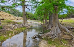 149 Other, Boerne, TX 78006