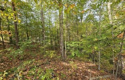 01 SE Headrick Circle, DALTON, GA 30721