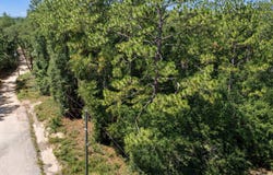 Parcel C Willow Lane, Crestview, FL 32539