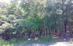 PINE Terrace, OCALA, FL 34472