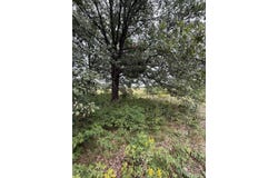 3307 S Wheeler Road, Pembroke Twp, IL 60958