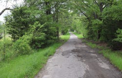 Rs County Road 2365, Alba, TX 75410