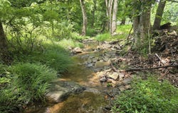 Two Brothers Rd., Lindside, WV 24951