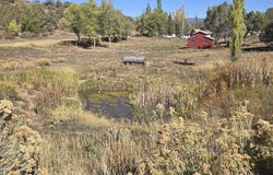 58 Rawhide Road, Durango, CO 81303