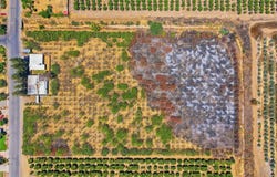 1098 N Foothill, Lindsay, CA 93247