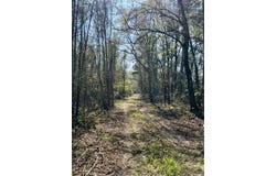 1 Westbury Road, Saint George, SC 29477