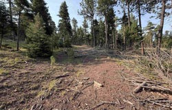 Luna lot: 1581, Angel Fire, NM 87710