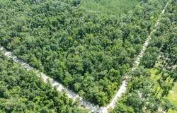 SW DRAGON WAY, Jasper, FL 32052