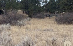 Gribben Road, Custer, MT 59634