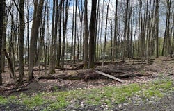 532 S SECOND Avenue, Corry, PA 16407