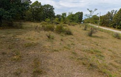 State Highway Bb, Hartville, MO 65667