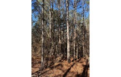 County Road 425, Meridian, MS 39301