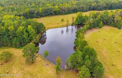 1725 Claud Fleahop Rd, Eclectic, AL 36024