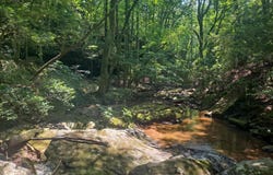 TOMMY MCGOUGH Rd, Carbon Hill, AL 35549