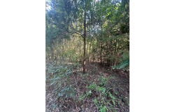 1072 CR 1111, Atlanta, TX 75551