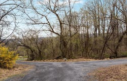 1005 HARMONY ORCHARD Road, FRONT ROYAL, VA 22630