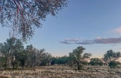 Vacant Land County Rd C, Crowley, CO 81066